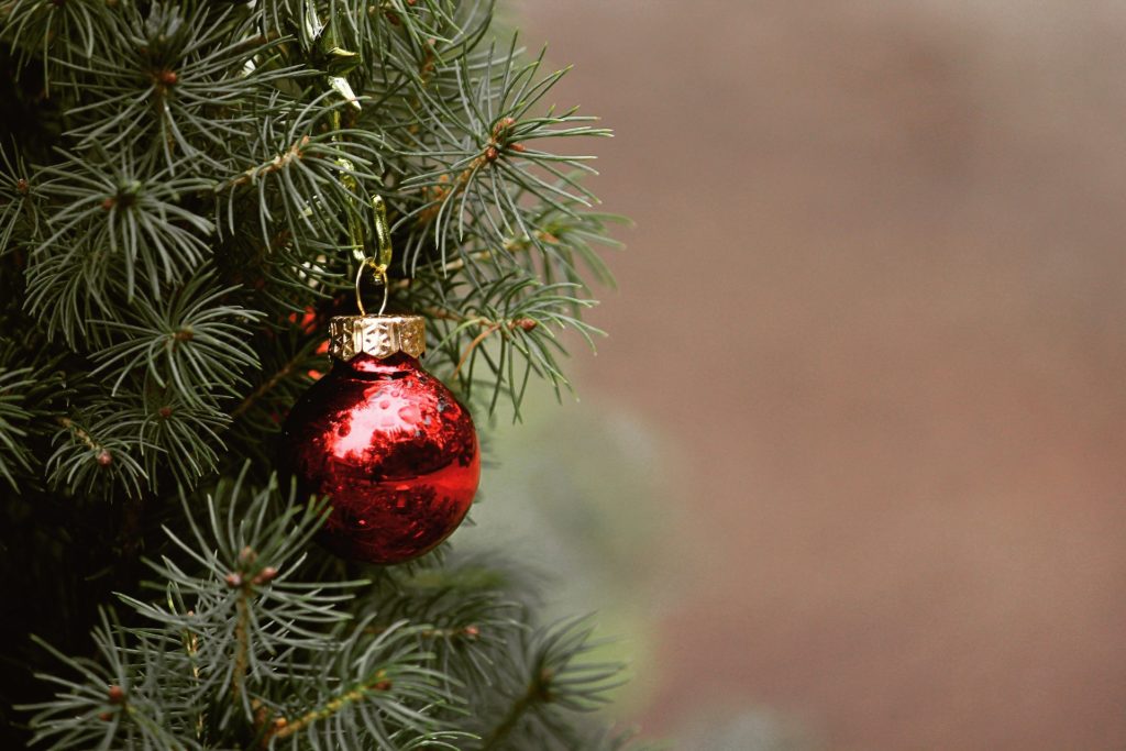 Choinka – obowiązkowy atrybut Bożego Narodzenia